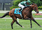 Champion Older Male: Gio Ponti Champion Older Male: Gio Ponti