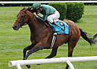 Gio Ponti Top Choice in Arlington Million Gio Ponti Top Choice in Arlington Million
