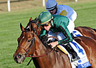 Gio Ponti to Race Next Year Gio Ponti to Race Next Year