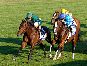 Gio Ponti Back on Track, Repeats in Turf Mile Gio Ponti Back on Track, Repeats in Turf Mile