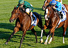 Gio Ponti Confirmed for the BC Mile