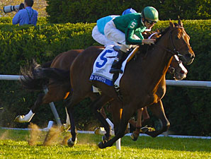 Shadwell Turf Mile Purse Hiked to $750,000 Shadwell Turf Mile Purse Hiked to $750,000