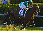 Shadwell Turf Mile Purse Hiked to $750,000 Shadwell Turf Mile Purse Hiked to $750,000