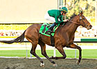Gio Ponti Can Build On Success in Strub Gio Ponti Can Build On Success in Strub