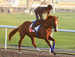 Sale of Gitano Hernando Pending Sale of Gitano Hernando Pending