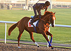 Sale of Gitano Hernando Pending Sale of Gitano Hernando Pending