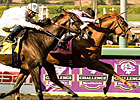 Gitano Hernando a Star on the Rise