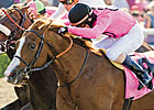 Gitano Hernando Being Readied for World Cup