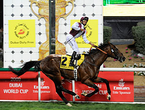 Gladiatorus Dominates Dubai Duty Free Gladiatorus Dominates Dubai Duty Free