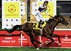 Gladiatorus Dominates Dubai Duty Free