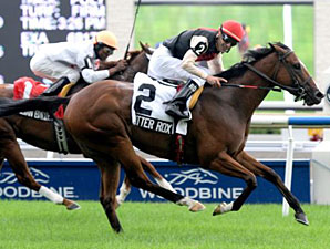 Glitter Rox Wins Royal North With Late Charge Glitter Rox Wins Royal North With Late Charge