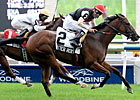 Glitter Rox Wins Royal North With Late Charge Glitter Rox Wins Royal North With Late Charge