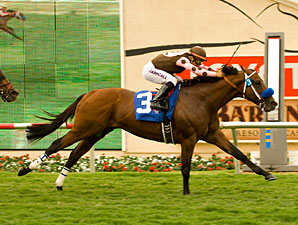 Global Hunter to Stand at Magali Farms Global Hunter to Stand at Magali Farms