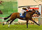 Global Hunter to Stand at Magali Farms Global Hunter to Stand at Magali Farms