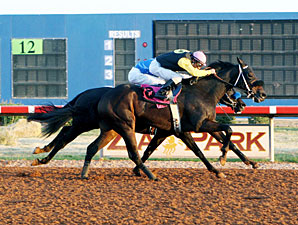 Ten Set for Zia Park Distance Championship Ten Set for Zia Park Distance Championship