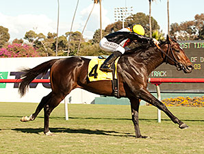 Global View Clear Winner of Generous Stakes Global View Clear Winner of Generous Stakes