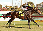 Global View Clear Winner of Generous Stakes Global View Clear Winner of Generous Stakes