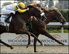 Globetrotter an Alternate for Juvenile Turf Globetrotter an Alternate for Juvenile Turf