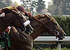 Globetrotter an Alternate for Juvenile Turf
