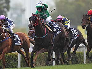 Glorious Days Closes to Win Hong Kong Mile Glorious Days Closes to Win Hong Kong Mile