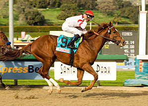 Go Between Heads Ben Ali Stakes Go Between Heads Ben Ali Stakes