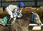 Go Go Shoot Bags Winkfield Stakes Go Go Shoot Bags Winkfield Stakes