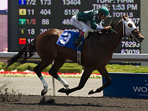 Go Greeley Goes for Grade in Grey Stakes Go Greeley Goes for Grade in Grey Stakes