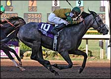 Industry Going Ballistic Over Bargain Colt Industry Going Ballistic Over Bargain Colt