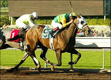 Spunky Going Wild Wins Sham for Lukas Spunky Going Wild Wins Sham for Lukas