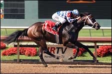 Gold Coyote Looks for Fourth Straight Victory Gold Coyote Looks for Fourth Straight Victory