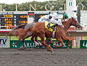Arlington-Washington Lassie: Gold Edge Shines Arlington-Washington Lassie: Gold Edge Shines