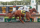 Arlington-Washington Lassie: Gold Edge Shines Arlington-Washington Lassie: Gold Edge Shines