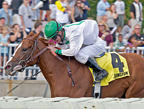 Darley Alcibiades Draws Overflow Field Darley Alcibiades Draws Overflow Field