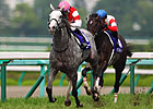 Gold Ship, Gentildonna Top Takarazuka Kinen Gold Ship, Gentildonna Top Takarazuka Kinen