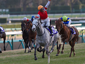 Gold Ship Sails Last to First in Arima Kinen