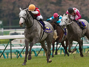 Gold Ship Sails to Classic Win at Nakayama Gold Ship Sails to Classic Win at Nakayama