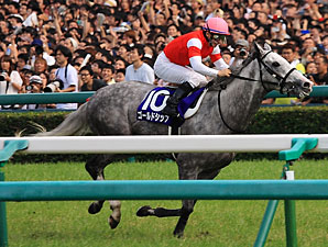 Gold Ship's Hanshin Win Secures BC Turf Slot Gold Ship's Hanshin Win Secures BC Turf Slot