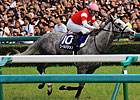 Gold Ship's Hanshin Win Secures BC Turf Slot Gold Ship's Hanshin Win Secures BC Turf Slot