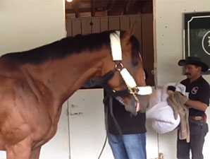 KY Derby: Goldencents Arrives at Churchill