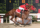 Golden Actor Stars in Jean Lafitte Victory Golden Actor Stars in Jean Lafitte Victory