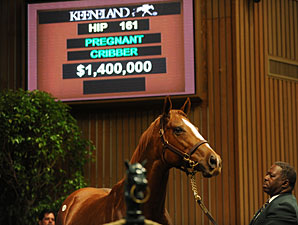 Coolmore Buys Second Seven-Figure Mare Coolmore Buys Second Seven-Figure Mare