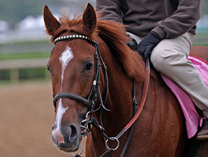 Daily Oaks Notes: May 1 Daily Oaks Notes: May 1