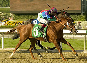 Las Virgenes Draws Loads of Talent Las Virgenes Draws Loads of Talent