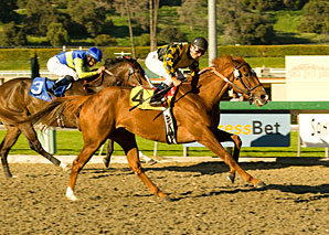 Golden Doc A Merits Respect in SA Oaks Golden Doc A Merits Respect in SA Oaks