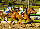 Golden Doc A Merits Respect in SA Oaks