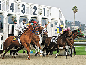 Golden Gate Readies Tapeta Surface for Meet Golden Gate Readies Tapeta Surface for Meet