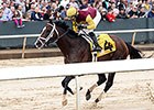 Golden Lad Pulls Away for Razorback Romp Golden Lad Pulls Away for Razorback Romp