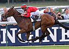 Golden Lilac Blooms in French 1,000 Guineas