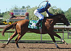 Golden Moka Returns in Discovery Handicap Golden Moka Returns in Discovery Handicap