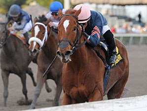 Golden Mystery Back With Wolfson After Sale Golden Mystery Back With Wolfson After Sale